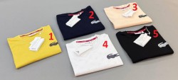 Мужская Футболка Lacoste