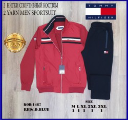 Мужской Спортивный Костюм Tommy Hilfiger