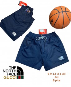 Мужские Шорты The North Face