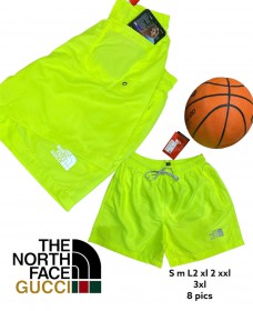 Мужские Шорты The North Face