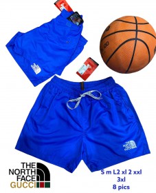 Мужские Шорты The North Face