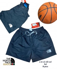 Мужские Шорты The North Face