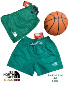 Мужские Шорты The North Face