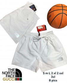 Мужские Шорты The North Face