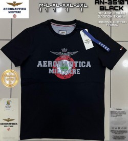 Мужская Футболка Aeronautica