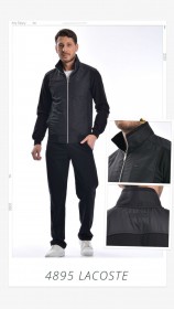 Мужской Спортивный Костюм Lacoste