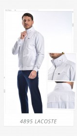 Мужской Спортивный Костюм Lacoste