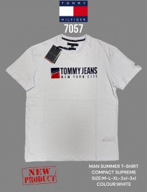 Мужская Футболка Tommy Hilfiger