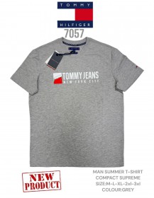 Мужская Футболка Tommy Hilfiger