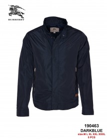 Мужская Ветровка Burberry